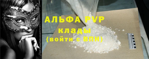 СК Гусев
