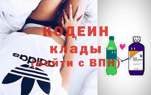 амф Гусь-Хрустальный