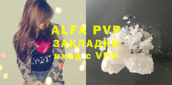 амф Гусь-Хрустальный