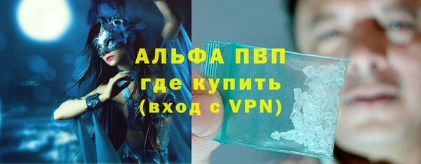 амф Гусь-Хрустальный