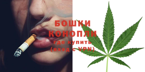 амф Гусь-Хрустальный