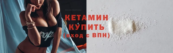 амф Гусь-Хрустальный