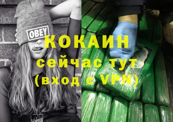 амф Гусь-Хрустальный