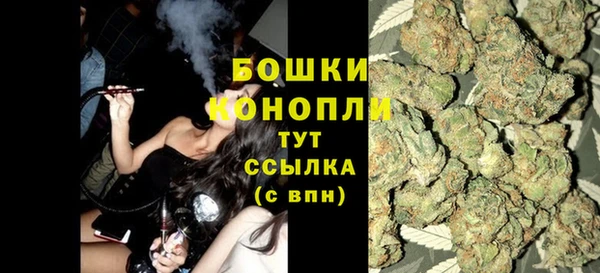 СК Гусев