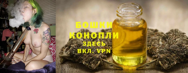 амф Гусь-Хрустальный